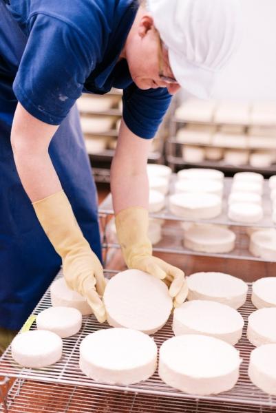cheese wheels6