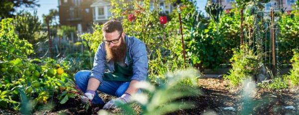 lcarticle whatknowurbanfarming2